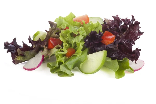 Small Salad Isolated — Stock Photo, Image
