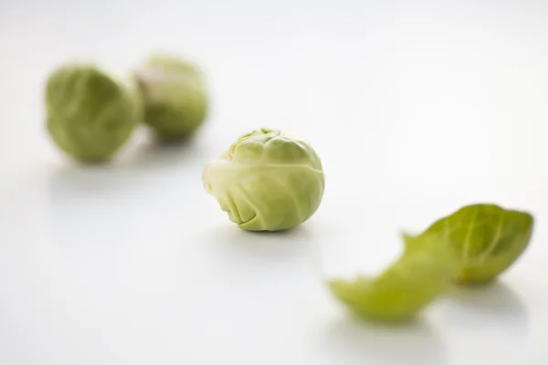 Brussel Sprout — Stock Photo, Image