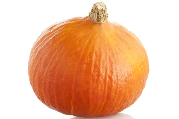 Whole Cooking Pumpkin — Stock Photo, Image