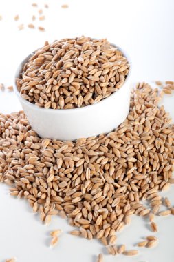 Healthy Grain clipart