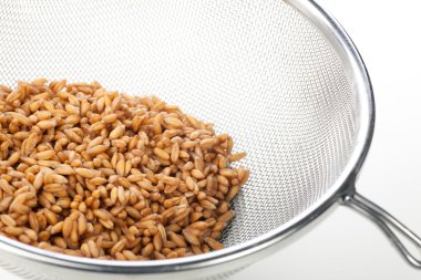 Moist Spelt in Strainer clipart