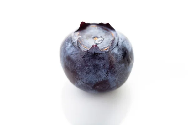 Isoleret blåbær - Stock-foto