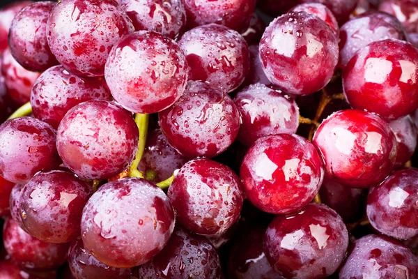 stock image Closeup Red Grapes