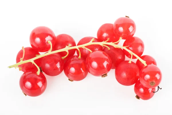 Beyaz üzümlü kırmızı üzümler — Stok fotoğraf