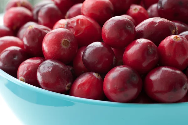 stock image Cranberries