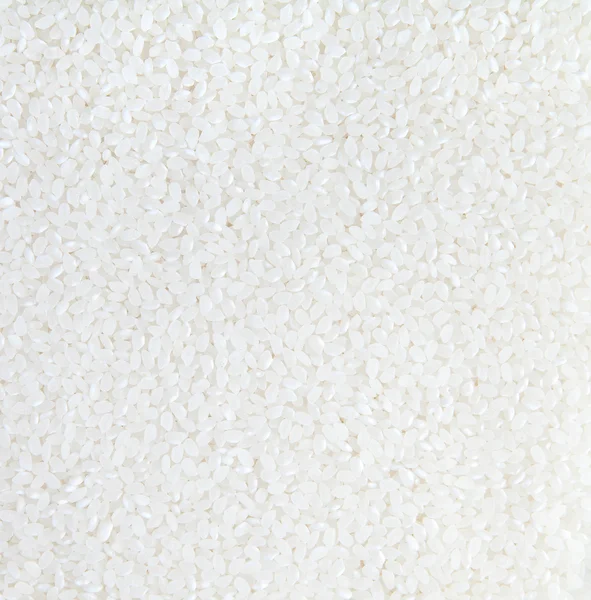 stock image Rice Texture.