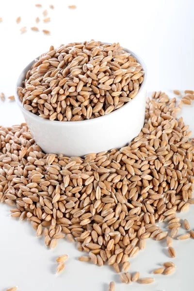 Здоровое зерно — стоковое фото