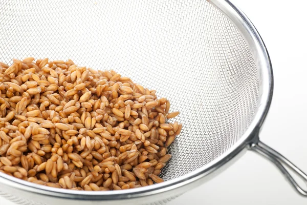 こし器に湿ったスペルト小麦 — ストック写真