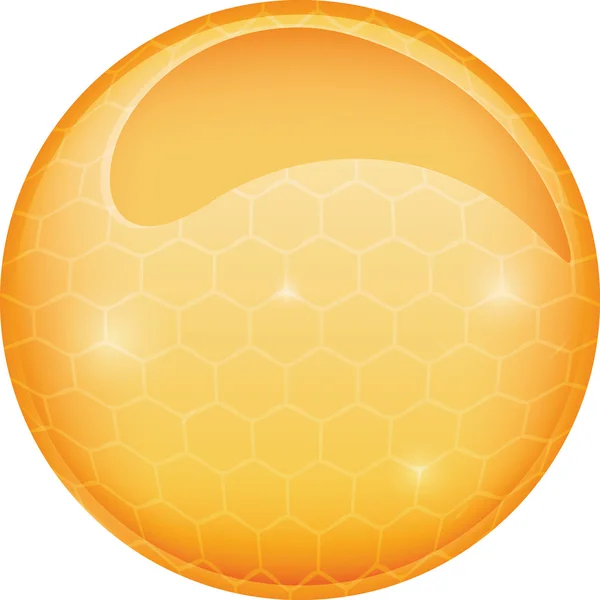 ベクター ガラス球、球の蜂蜜 — ストックベクタ