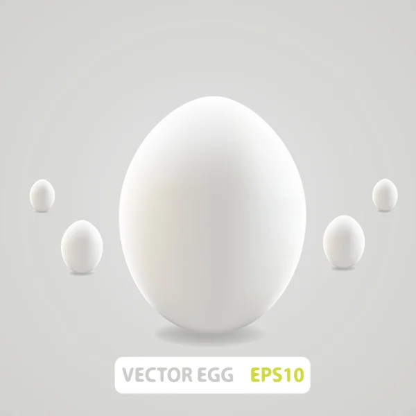 Concepto de huevo marrón. Vector — Vector de stock