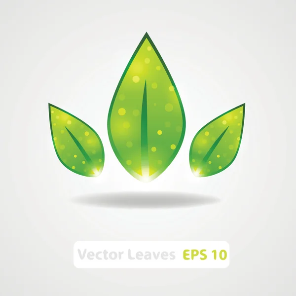 Zelené přírody nechává vektorové pozadí — Stockový vektor