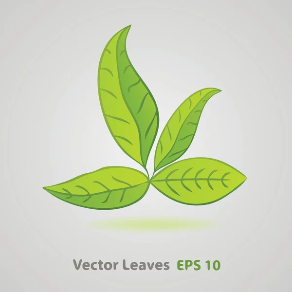 Green nature leaves vector background — Stock Vector