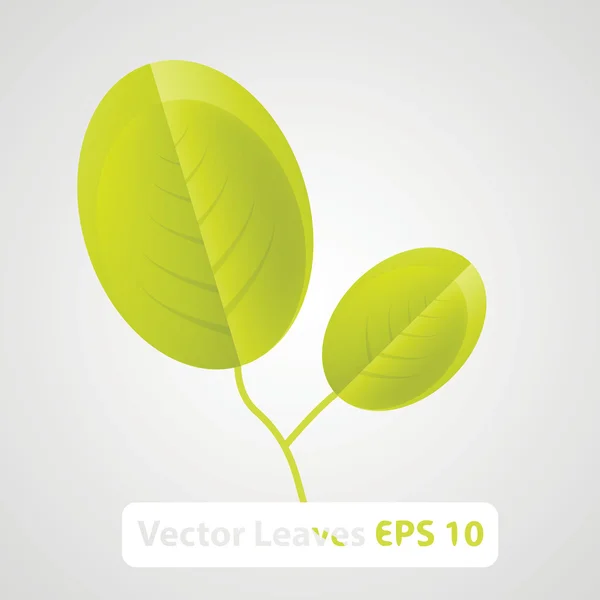 Green nature leaves vector background — Stock Vector