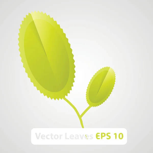 Zöld természet levelek vektor háttér — Stock Vector
