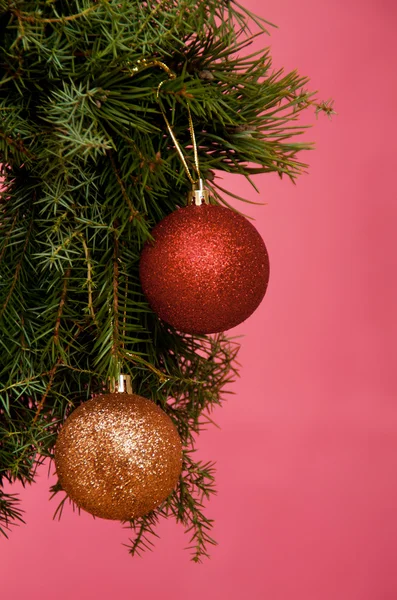 Branches d'arbre de Noël avec des décorations — Photo