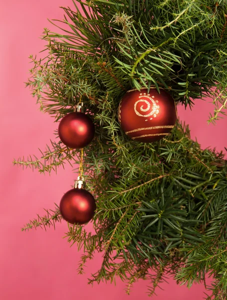 Branches d'arbre de Noël avec des décorations boule rouge — Photo