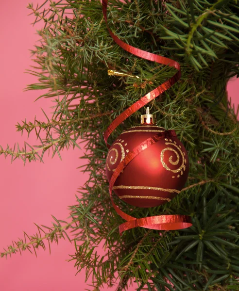 Branches d'arbre de Noël avec décoration boule rouge — Photo