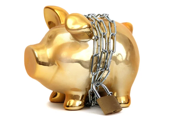 Protected piggy bank — Stock Photo, Image