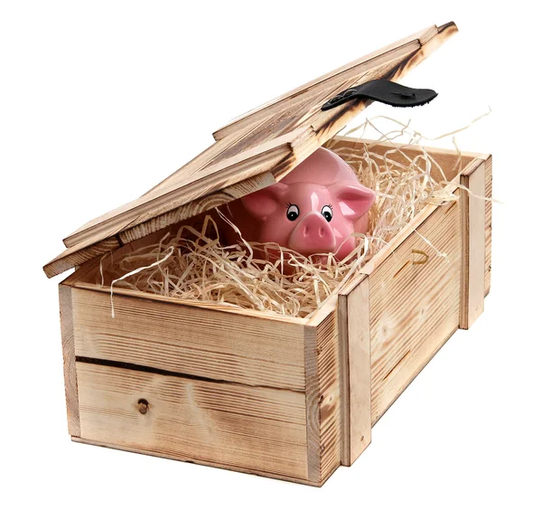 Salvadanaio rosa in scatola con lana di legno — Foto Stock