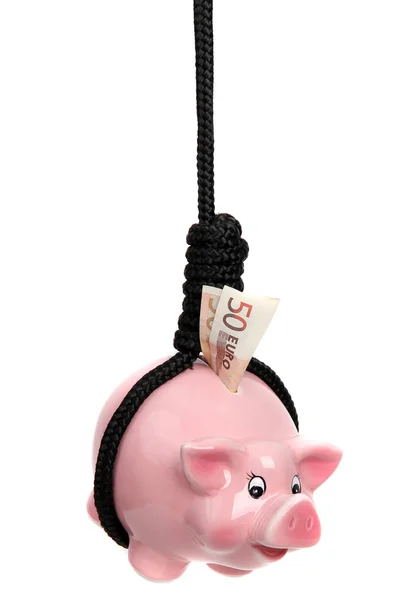 Свинка с европейской банкнотой и черной веревкой — стоковое фото