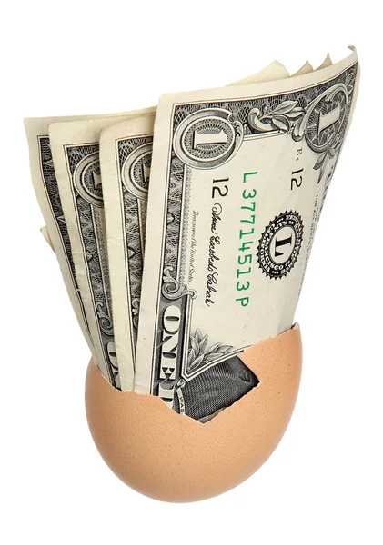 Dużo banknotów dolarowych w jajku — Zdjęcie stockowe
