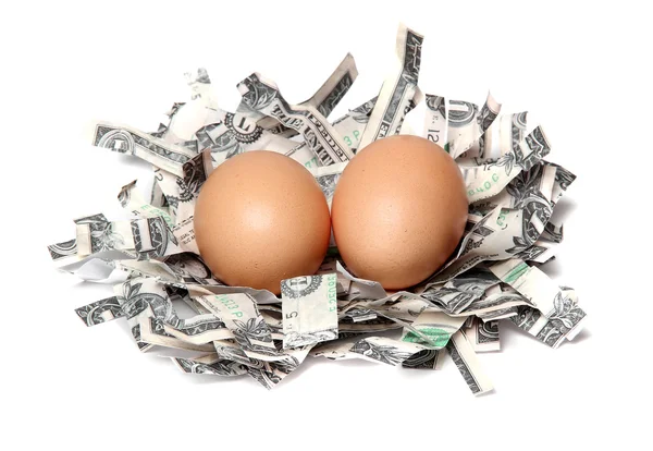 Gniazdo wykonane z rozdrobnionych dolarów z brązowe jaja — Zdjęcie stockowe
