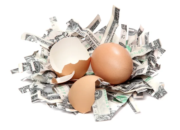 Nido hecho de billetes de banco en dólares rallados y cáscara de huevo rota — Foto de Stock