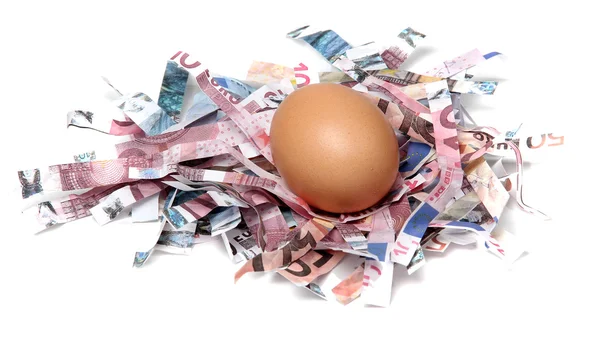 Shredded european currency with egg — Stock Photo, Image