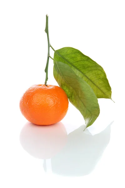 Fresh mandarin orange with green leaves — Stock Photo, Image