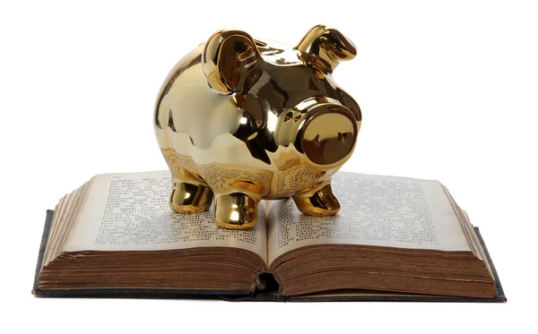Golden piggy bank on old book — Stock Photo, Image