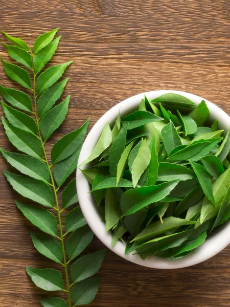 stock image Curry leaves