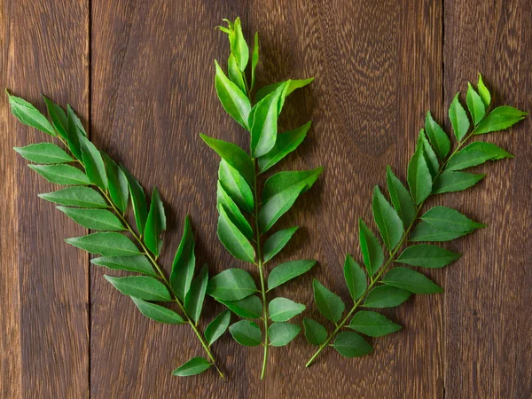 Curry leaves — Stock Photo, Image