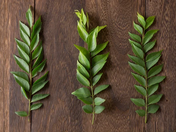 Curry leaves — Stock Photo, Image