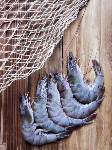 Grey shrimps — Stock Photo, Image