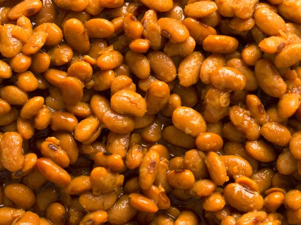 塩漬け発酵大豆の豆 — ストック写真