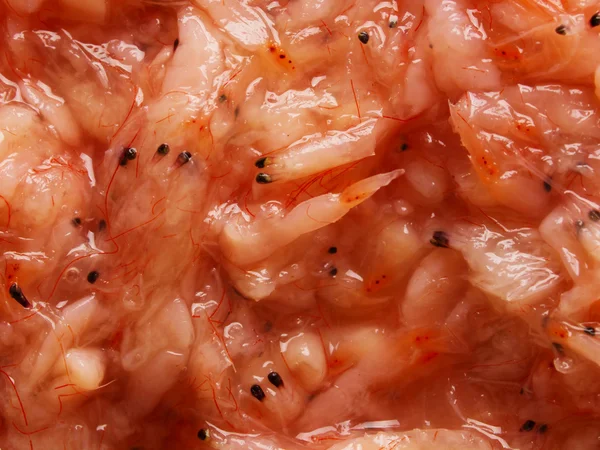 Fermented shrimps — Stock Photo, Image