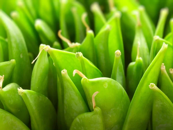 Zelený hrášek — Stock fotografie