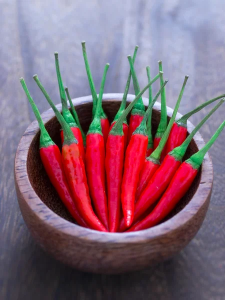 Padi piros chili — Stock Fotó