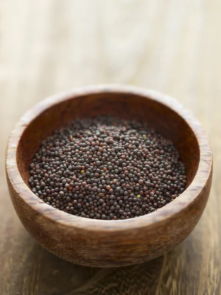 Semena hořčice černá — Stock fotografie