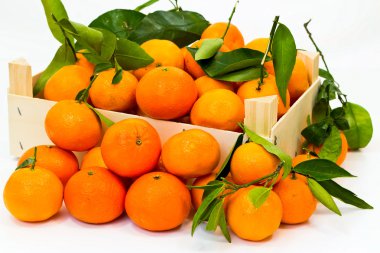 Box full of fresh mandarin with green leaves clipart