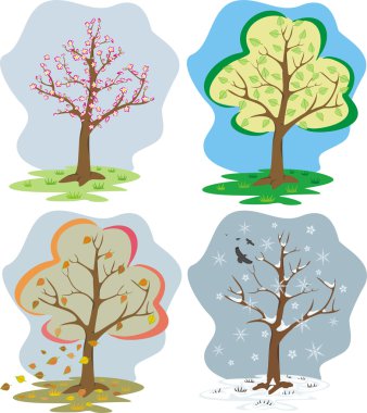 Four seasons clipart