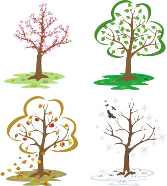 Trees during the seasons of the year clipart