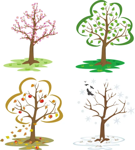 Árvores durante as estações do ano — Vetor de Stock