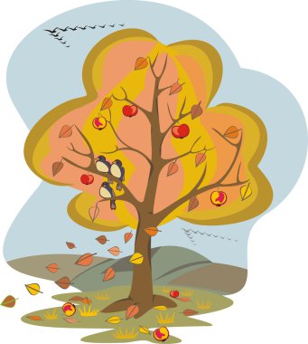sonbahar ağacı - dört mevsim
