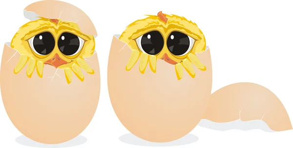 Ägg och chick — Stock vektor