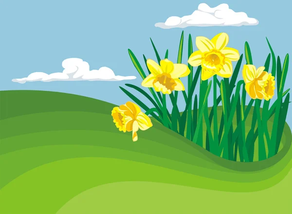 Blühende Narzissen - der Beginn des Frühlings — Stockvektor