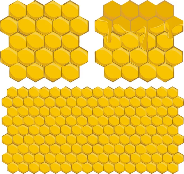 stock vector Honeycomb background