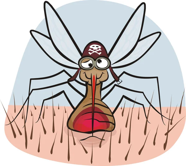 Mosquito - blood sucking — Stock Vector