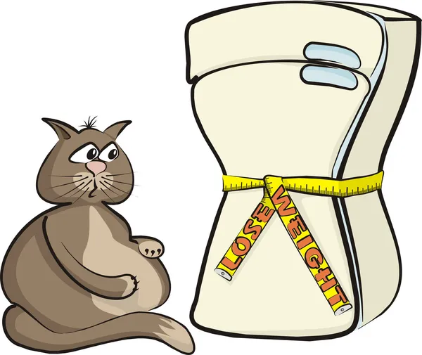 Bajar de peso - Glotón gato — Archivo Imágenes Vectoriales