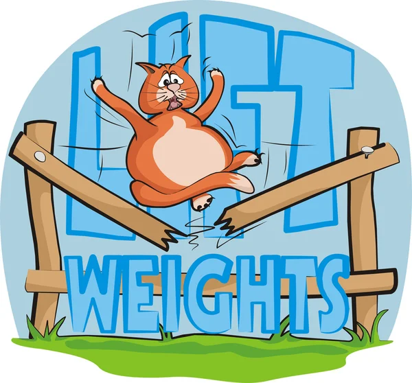 Gewichte heben - dicke Katze — Stockvektor